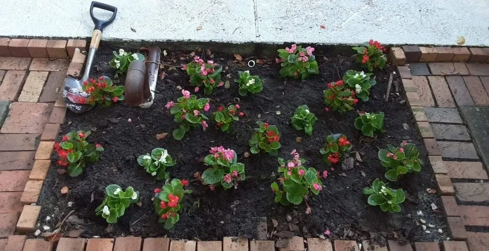 Custom landscaping services in Tampa Bay, FL - Lipert Family Landscapes