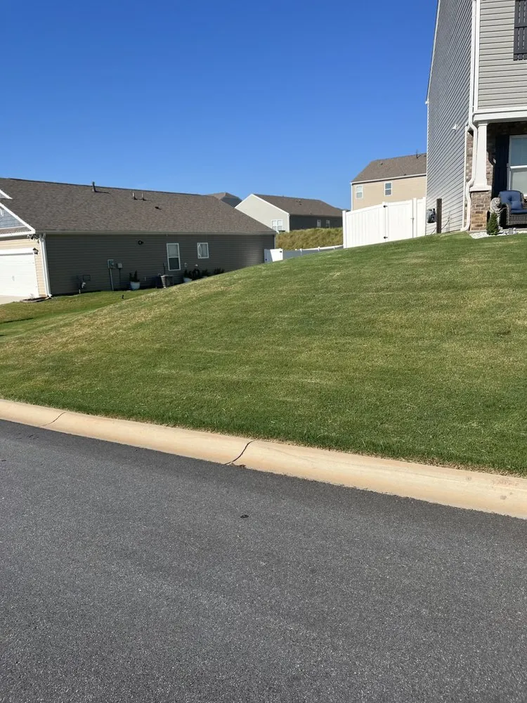 Affordable outdoor landscaping in Powdersville, SC by Lipsey’s Lawn Service
