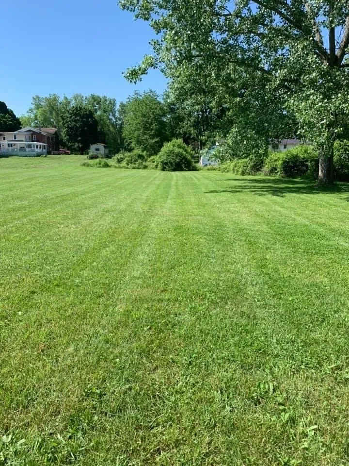 Trusted outdoor landscaping in Holley, NY - Lipson Total Care
