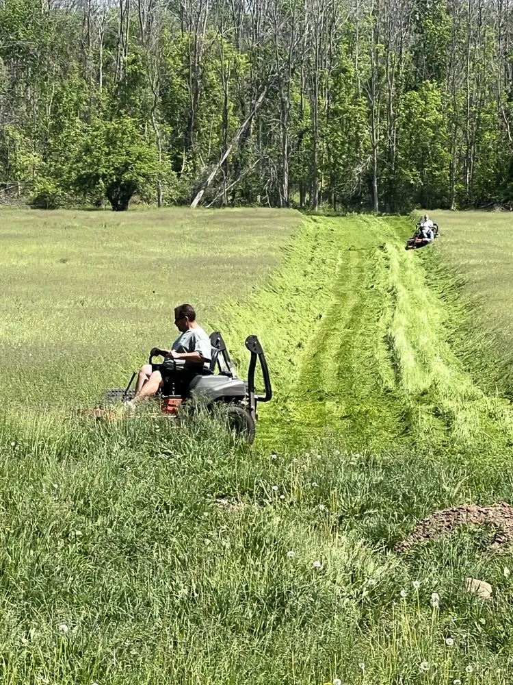 Top-rated landscape design in Holley, NY by Lipson Total Care