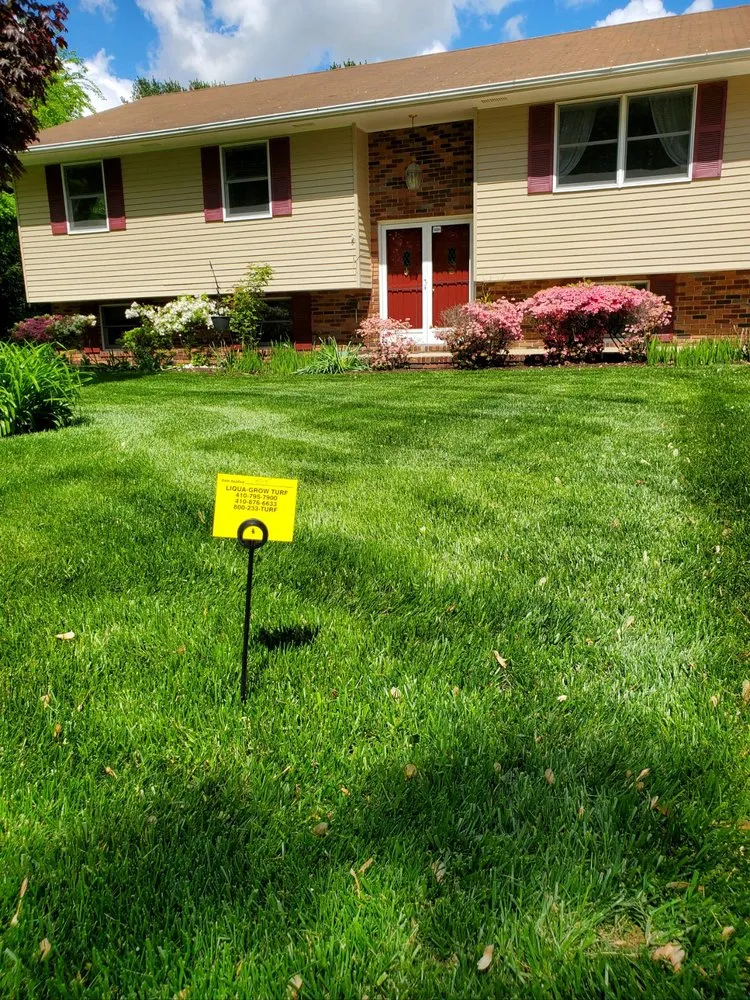 Trusted lawn care service with custom design in Westminster, MD by Liqua-Grow Turf