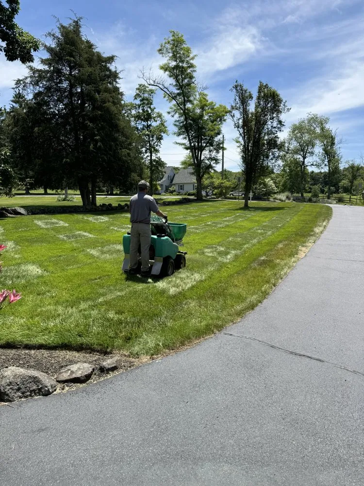 Custom landscape design in Westminster, MD - Liqua-Grow Turf