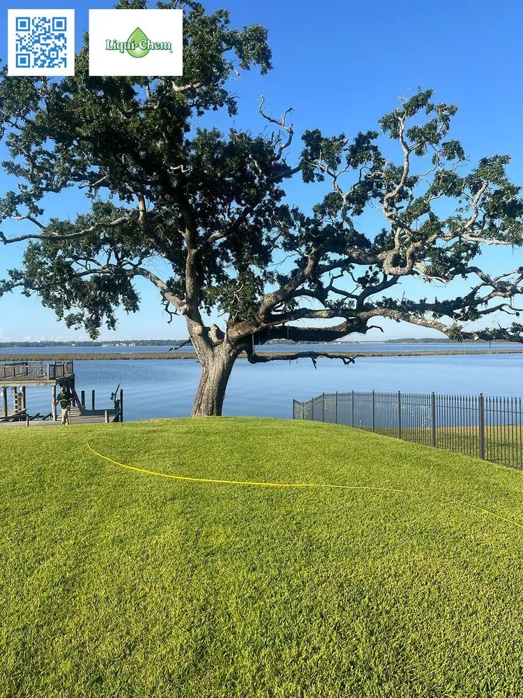 Trusted yard maintenance in Ocean Springs, MS - Liqui-Chem Lawn & Shrub Care