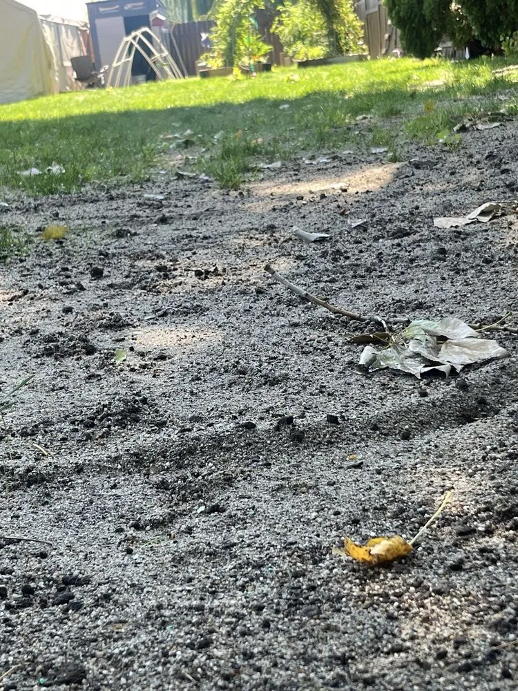 Affordable lawn care service in Boise, ID by Liquid 208