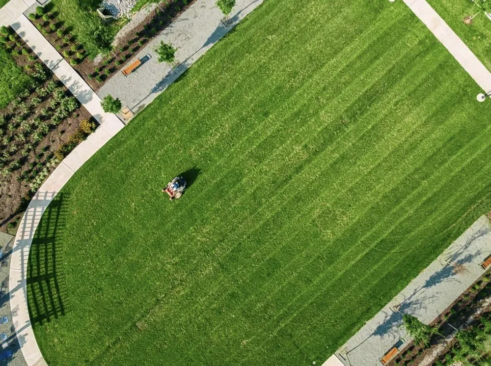 Reliable lawn care service experts serving Boise, ID - Liquid 208