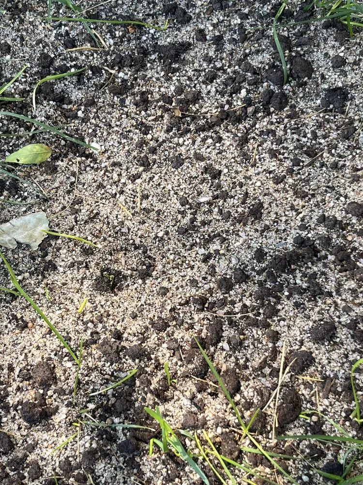 Custom lawn care service for beautiful yards across Boise, ID - Liquid 208