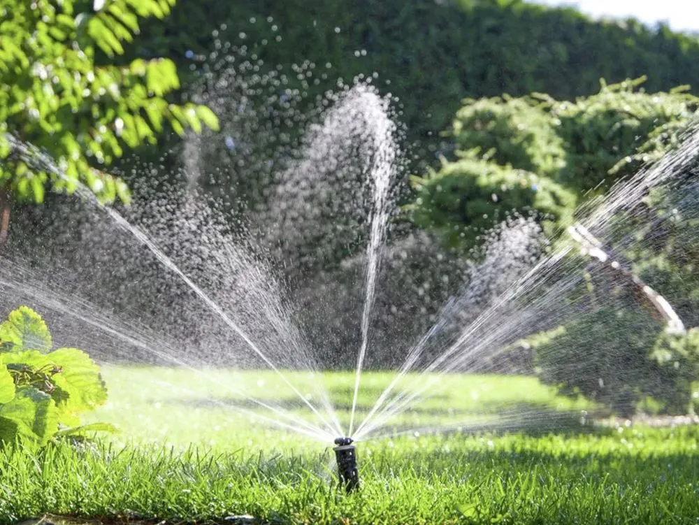 Custom yard cleanup service for outdoor upgrades across Boise, ID - Liquid 208