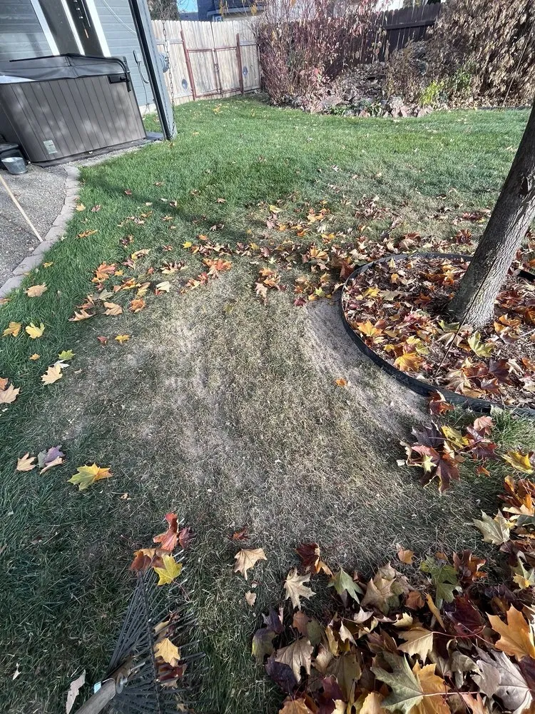 Professional yard cleanup service for year-round maintenance in Boise, ID by Liquid 208