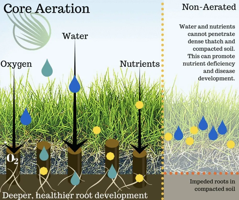 Top-rated residential landscaping for beautiful yards in Boise, ID by Liquid 208