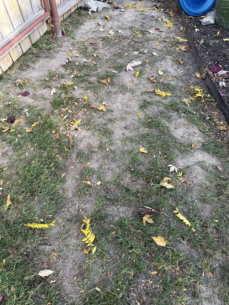 Professional landscape design in Boise, ID by Liquid 208