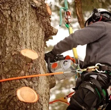 Custom landscape design for outdoor upgrades in Boise, ID by Liquid 208