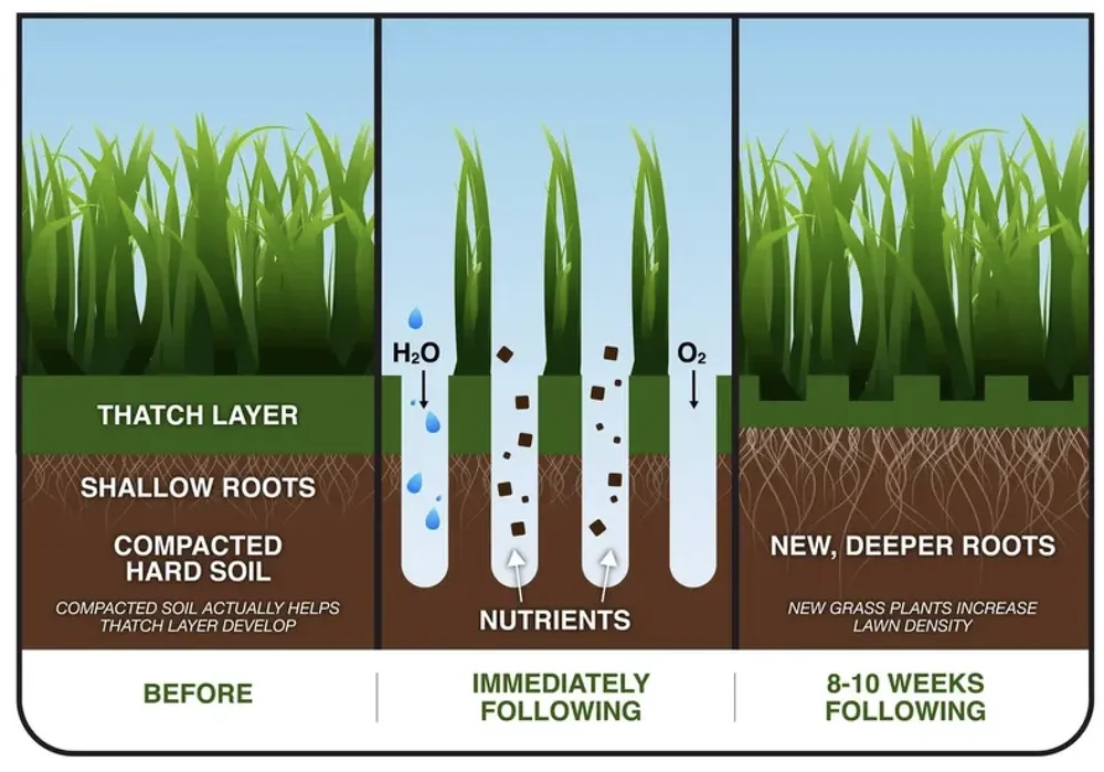 Local outdoor landscaping in Boise, ID by Liquid 208