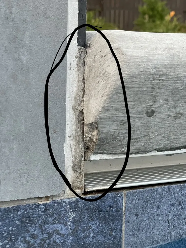 Top-rated yard cleanup service in Valley Springs, CA by Liquid FX Pools