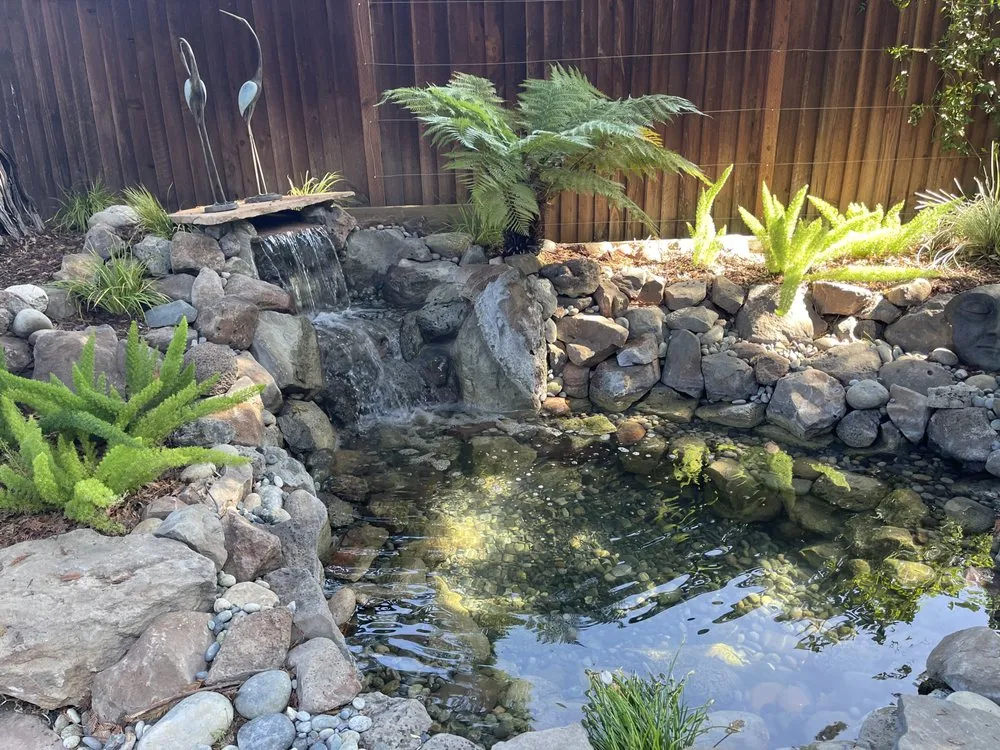 Reliable outdoor landscaping in San Jose, CA - Liquid Gardens