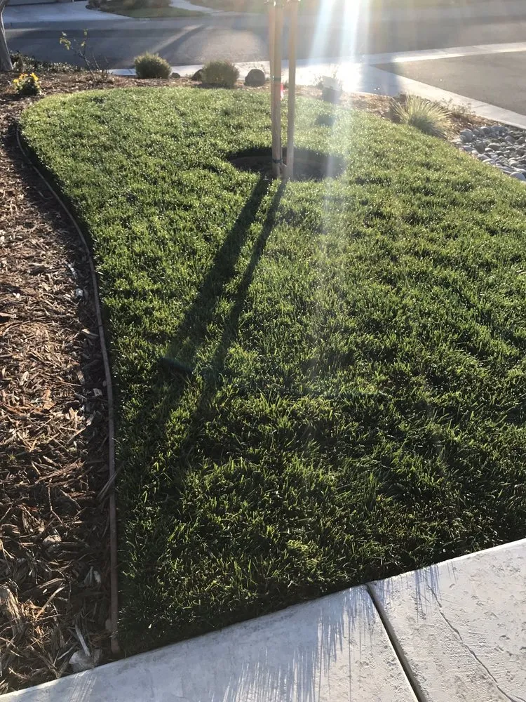 Trusted lawn care service experts serving Sacramento, CA - Liquid Landscape Services