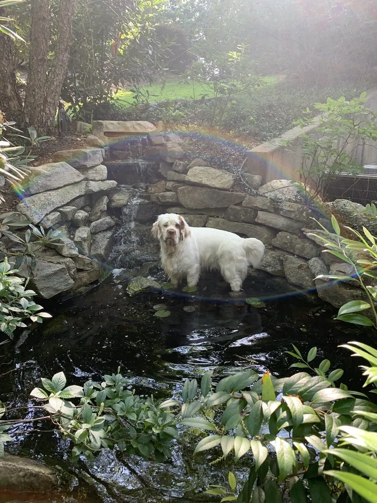 Reliable garden landscaping in Asheville, NC - Liquid Landscapes