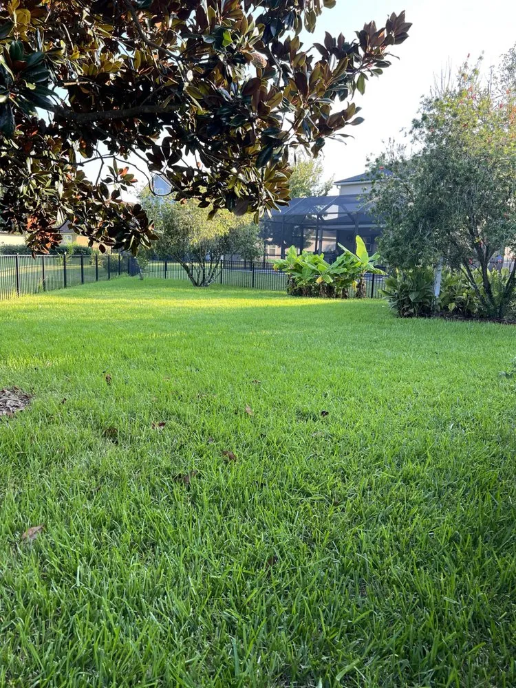 Reliable lawn care service experts serving Daytona Beach, FL - Liquid Lawn