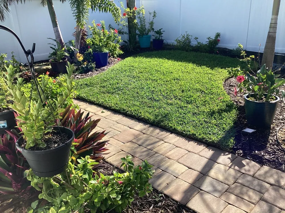 Affordable lawn mowing service experts serving Daytona Beach, FL - Liquid Lawn