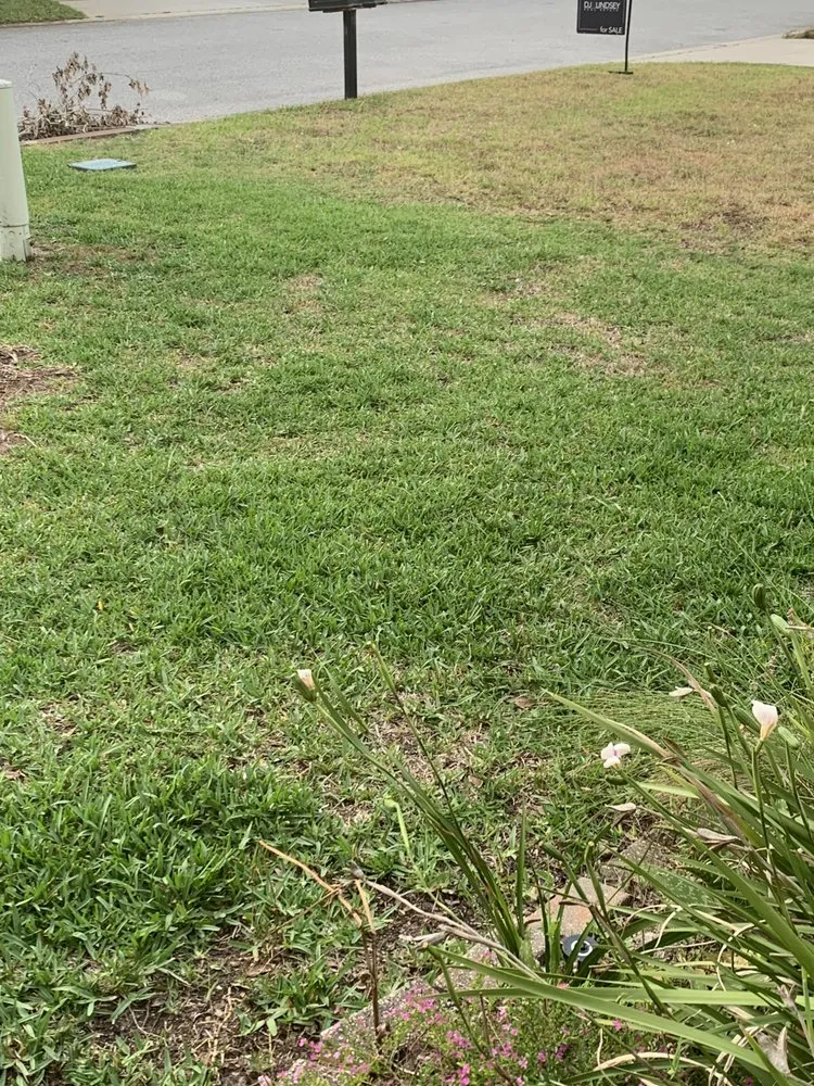 Local lawn care service experts serving Daytona Beach, FL - Liquid Lawn