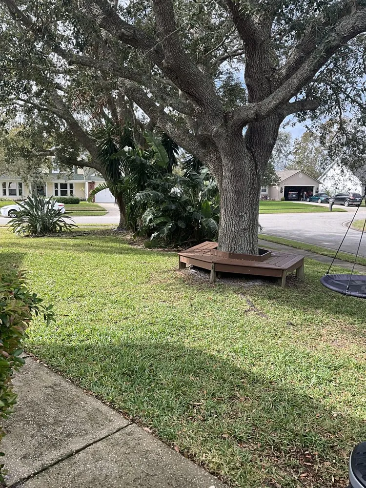 Expert yard maintenance experts serving Daytona Beach, FL - Liquid Lawn