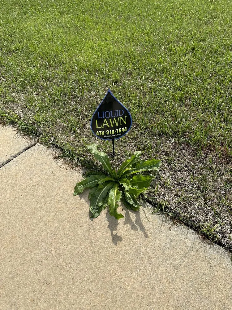 Custom lawn care service experts serving Macon, GA - Liquid Lawn