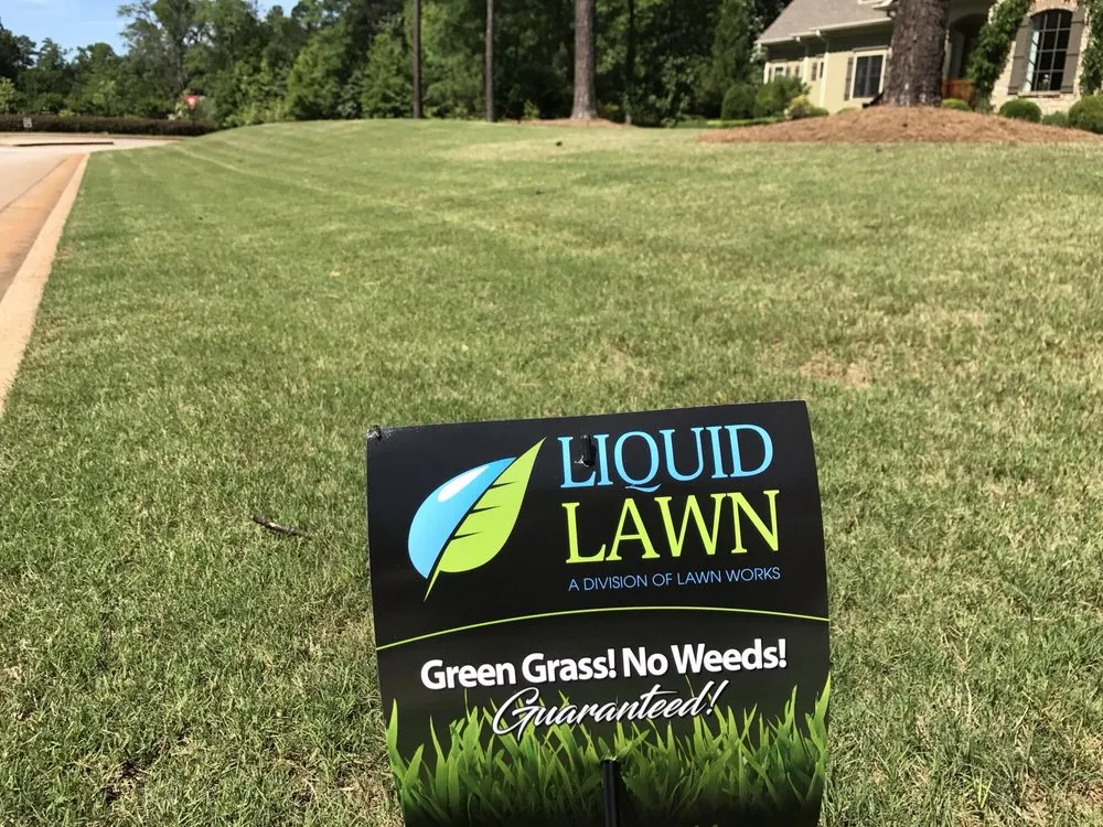 Custom yard cleanup service experts serving Macon, GA - Liquid Lawn