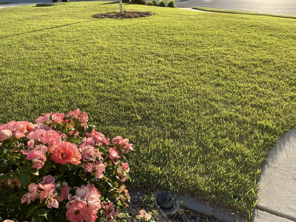Top-rated landscape design in Macon, GA by Liquid Lawn