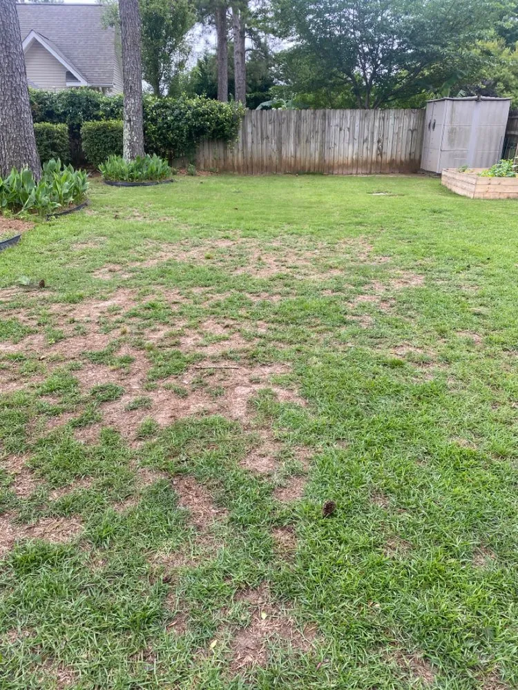 Expert lawn mowing service for homes across Macon, GA - Liquid Lawn