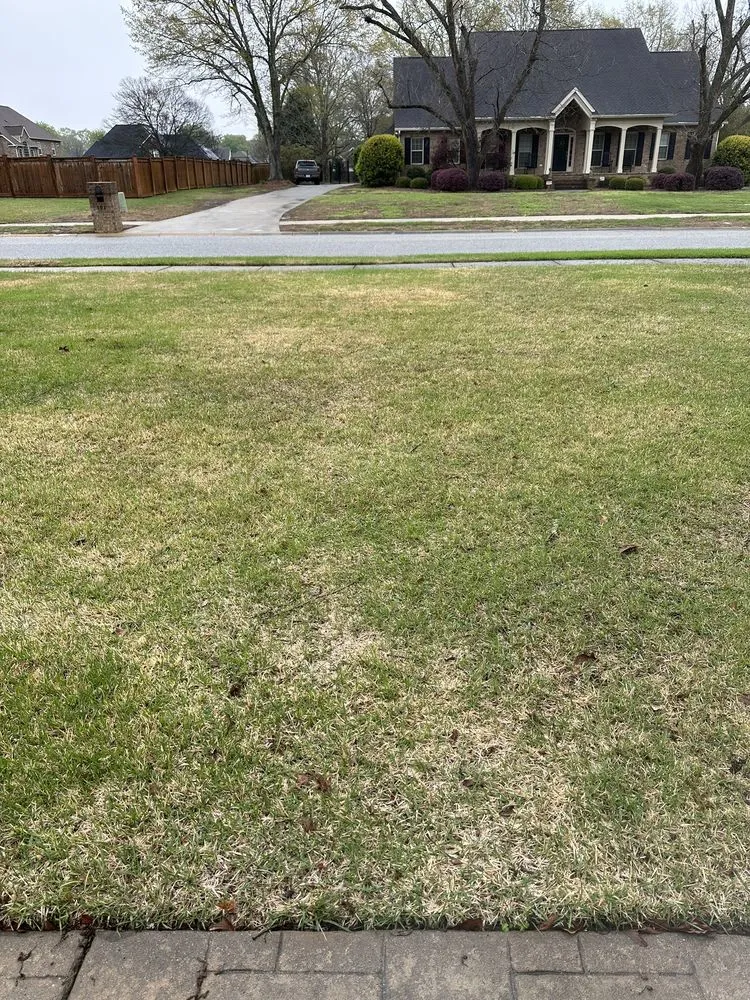 Reliable yard maintenance experts serving Macon, GA - Liquid Lawn