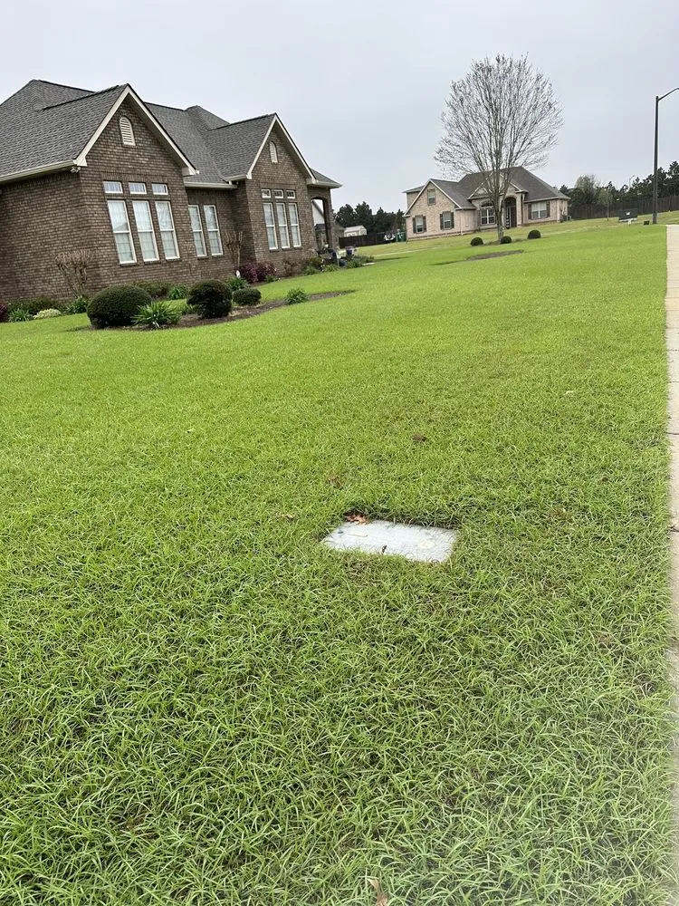 Reliable yard cleanup service experts serving Macon, GA - Liquid Lawn