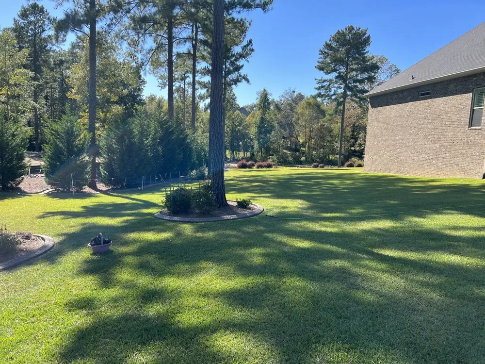 Professional lawn care service for beautiful yards across Macon, GA - Liquid Lawn