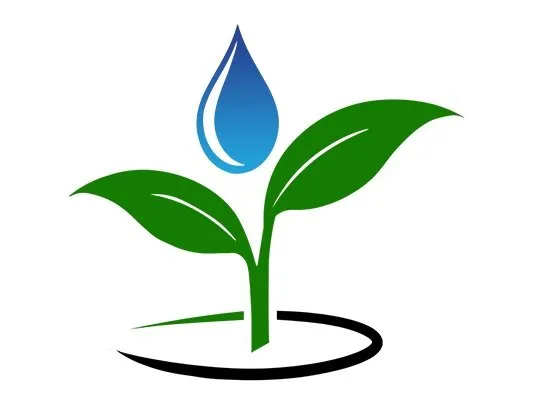 Top-rated outdoor landscaping for residential properties in Cottonwood, AZ by Liquid Life