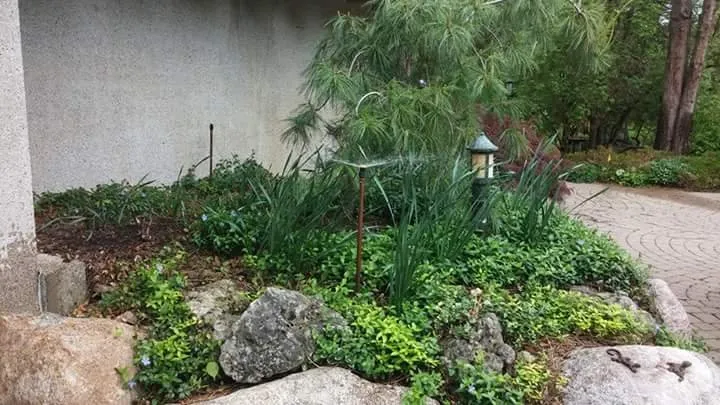 Custom residential landscaping in Warren, MI by Liquid Sun