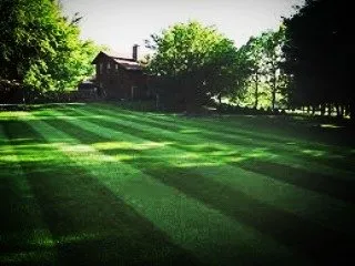 Top-rated yard cleanup service for residential properties in Warren, MI by Liquid Sun