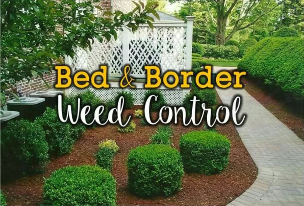 Local lawn mowing service in Warren, MI - Liquid Sun