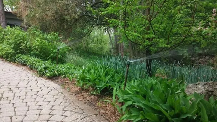 Expert lawn mowing service for year-round maintenance in Warren, MI by Liquid Sun