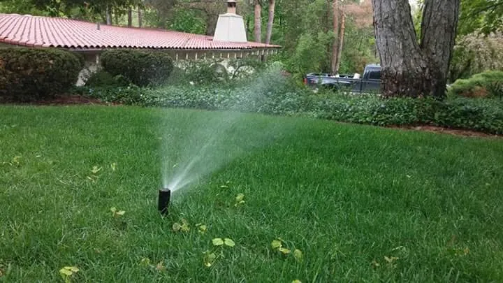 Trusted lawn care service in Warren, MI - Liquid Sun