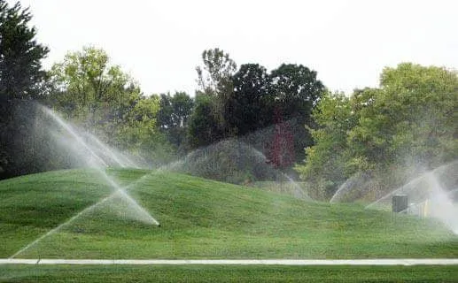 Local yard maintenance experts serving Warren, MI - Liquid Sun