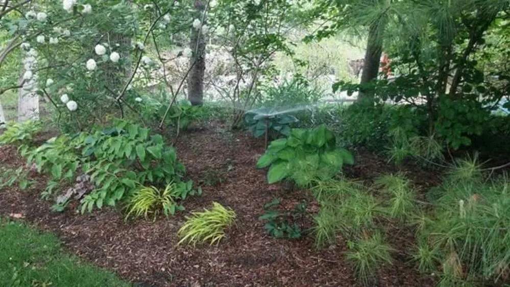 Professional lawn mowing service with custom design in Warren, MI by Liquid Sun