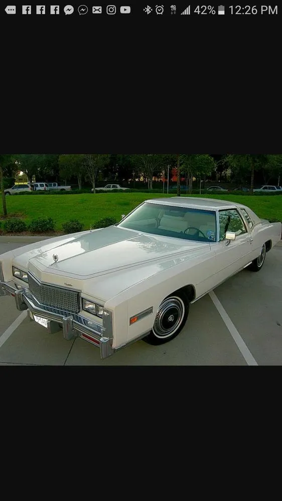 Custom yard cleanup service for residential properties across Warren, MI - Liquid Sun