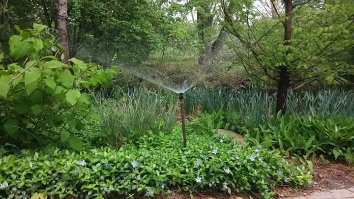 Local outdoor landscaping for beautiful yards across Warren, MI - Liquid Sun