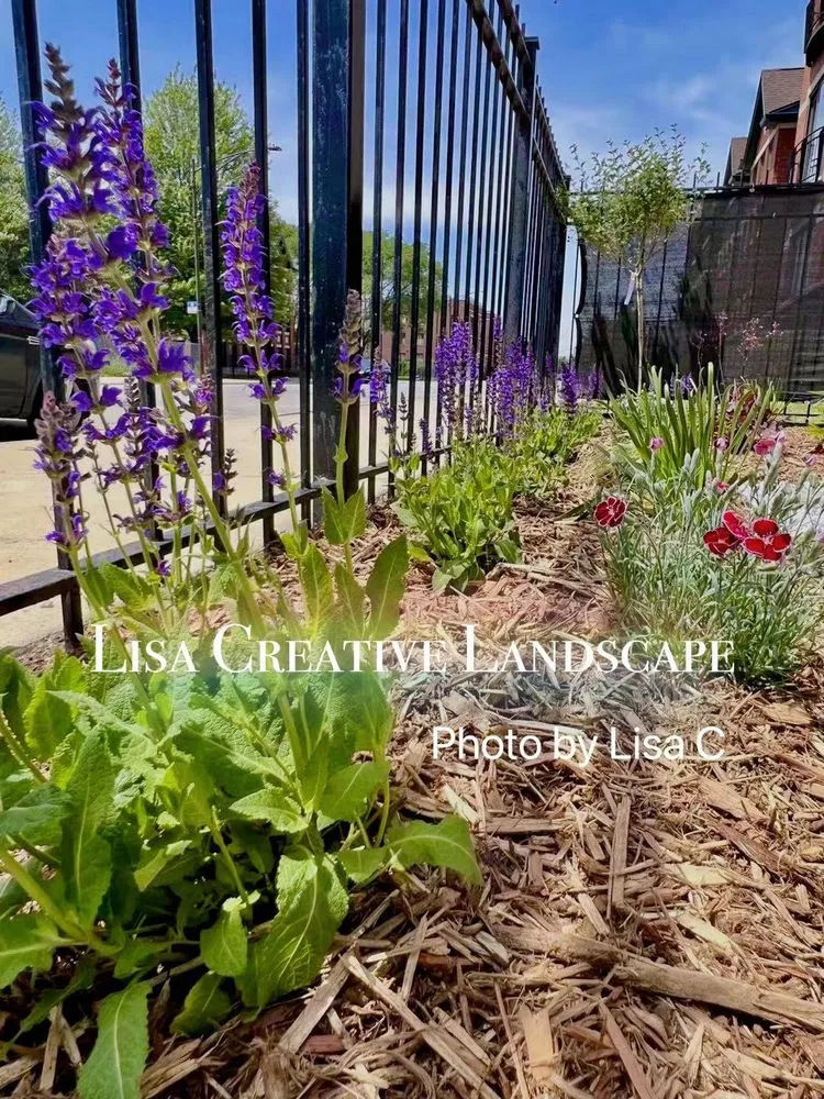 Custom landscaping services for beautiful yards in Chicago, IL by Lisa Creative Landscape