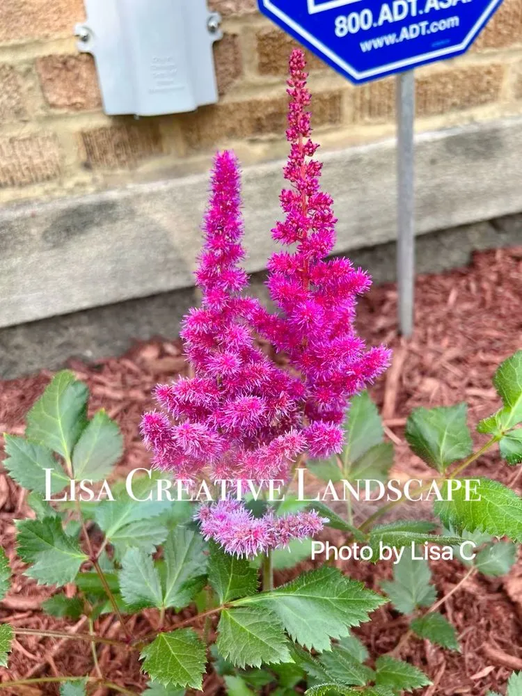 Top-rated landscape installation for residential properties in Chicago, IL by Lisa Creative Landscape