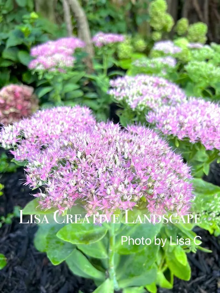 Custom landscaping services in Chicago, IL - Lisa Creative Landscape
