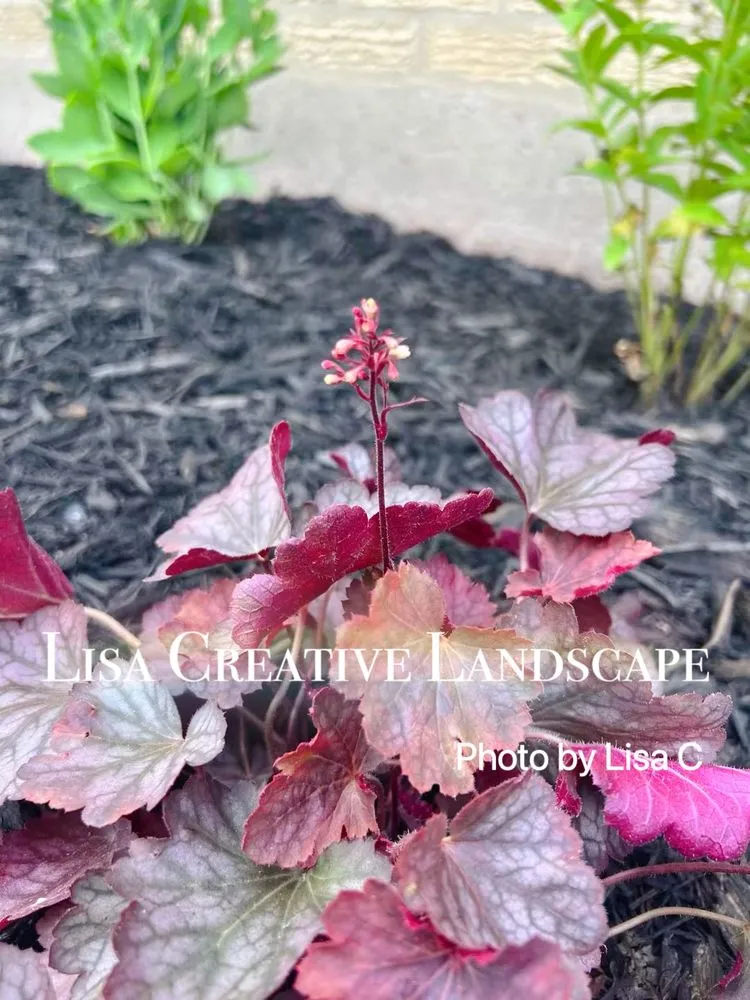 Professional landscape design in Chicago, IL by Lisa Creative Landscape