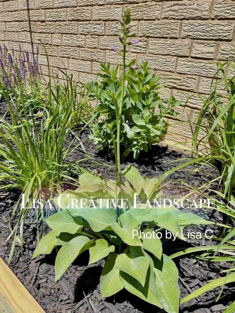 Local landscape installation in Chicago, IL by Lisa Creative Landscape