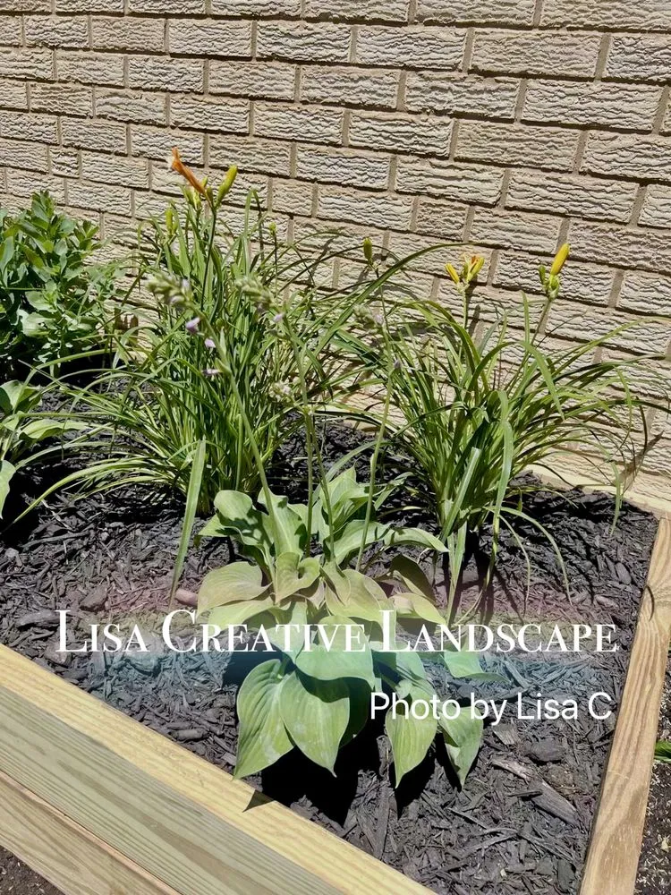 Affordable yard cleanup service experts serving Chicago, IL - Lisa Creative Landscape