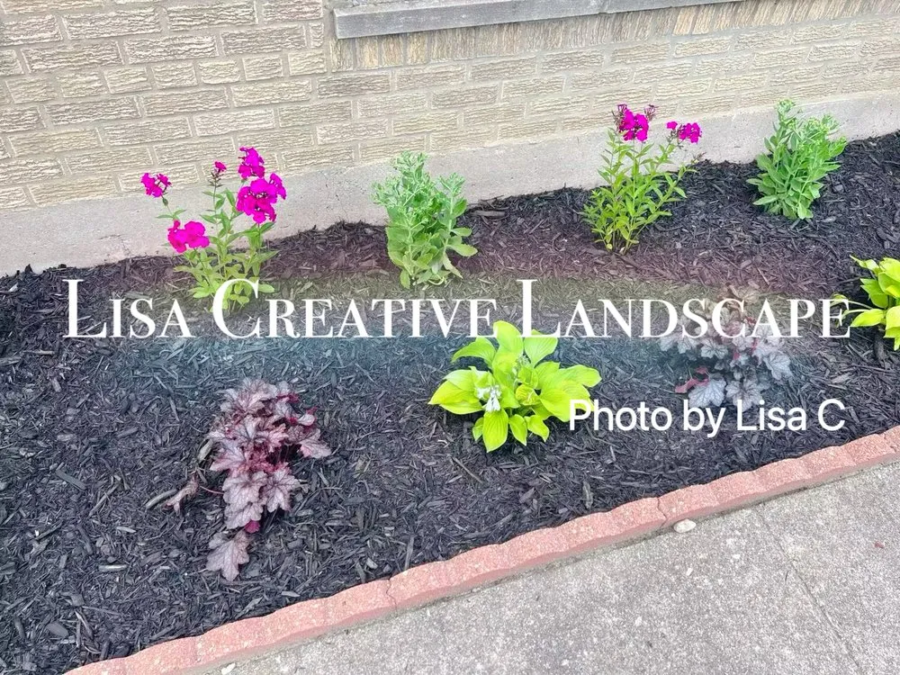 Affordable yard cleanup service in Chicago, IL by Lisa Creative Landscape