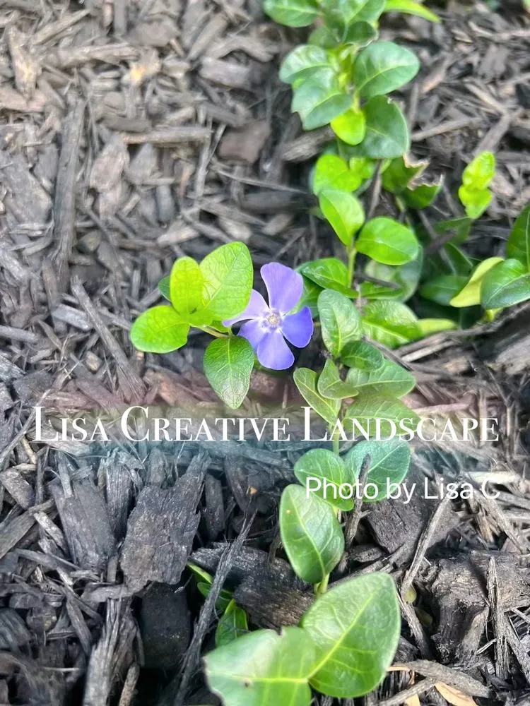 Local landscape design for homes in Chicago, IL by Lisa Creative Landscape