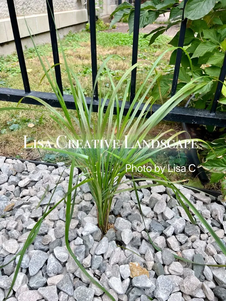 Professional landscaping services in Chicago, IL by Lisa Creative Landscape